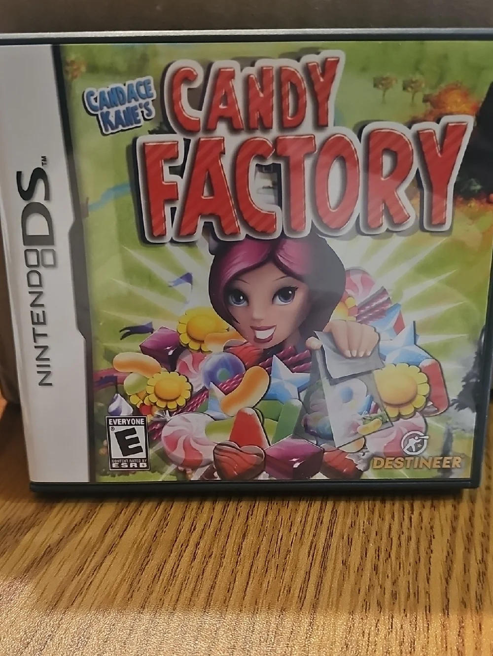 Nintendo DS Candy Factory – Green & Pink Cover Artwork Book Included